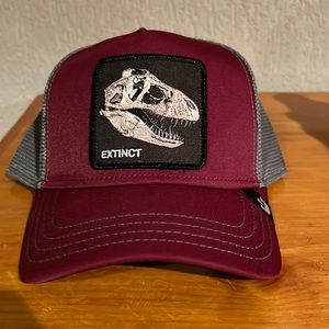 Goorin Bros Fossil Hat